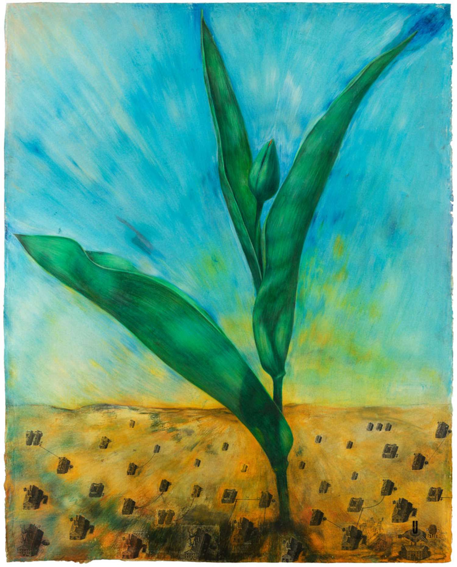 , Pages from Abracadabra