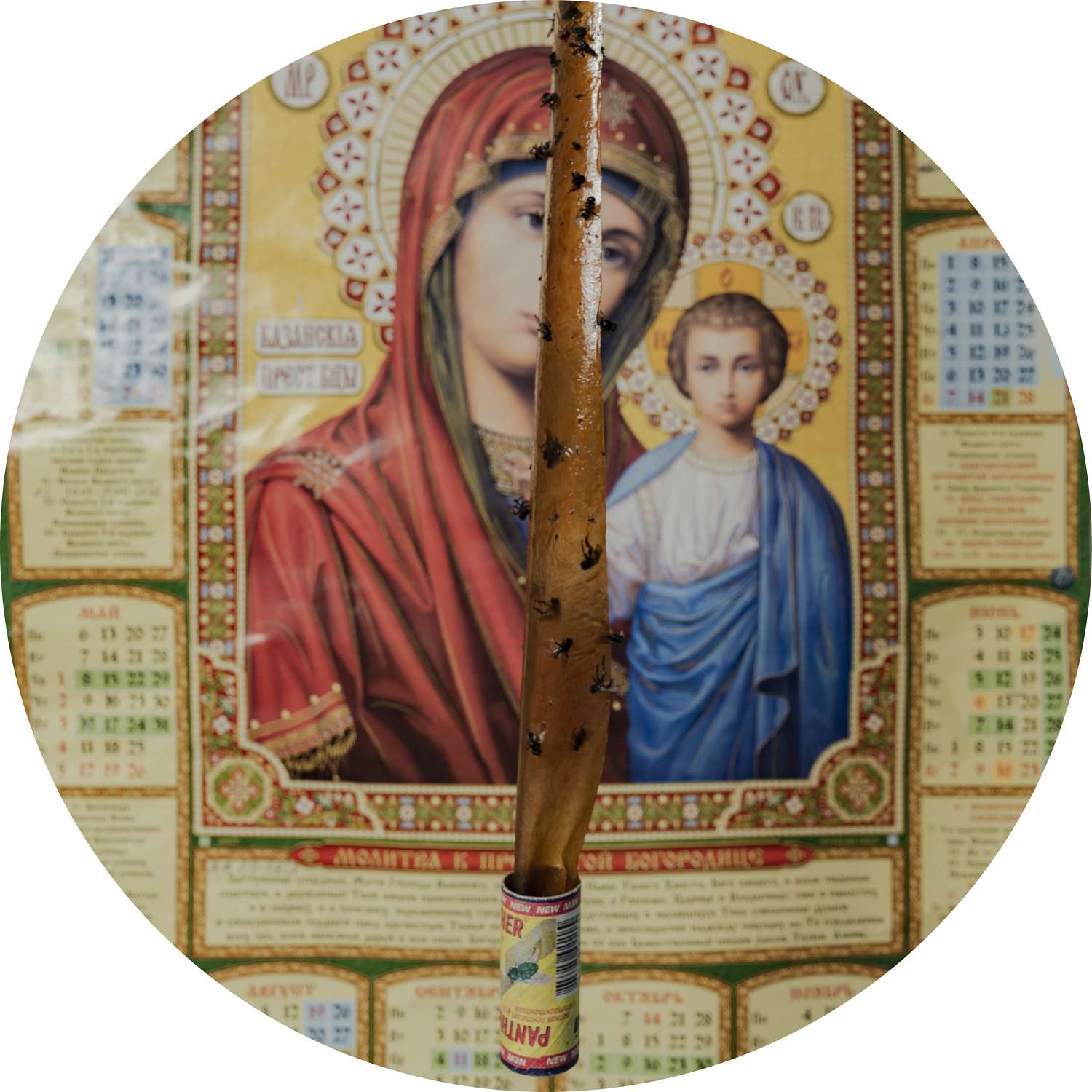 , Ukrainian Railroad Ladies