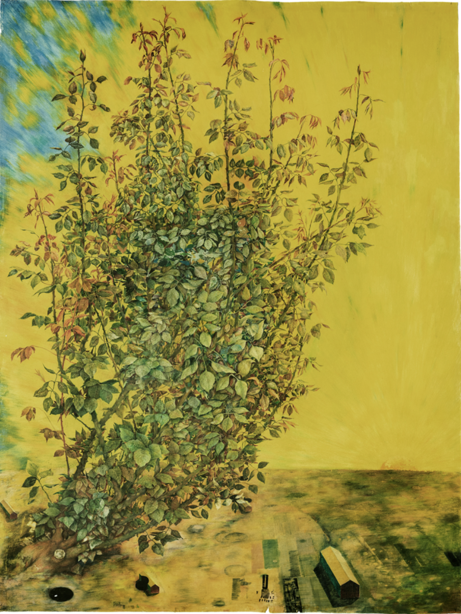 , Pages from Abracadabra